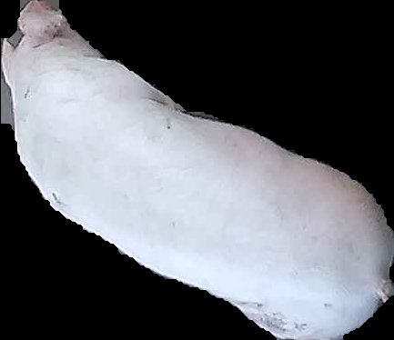 Crop