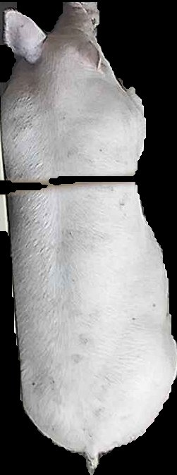 Crop