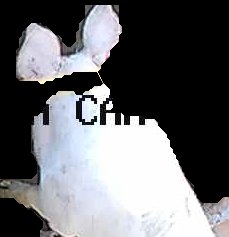 Crop
