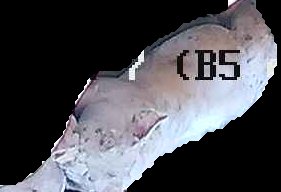 Crop