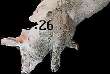 Crop