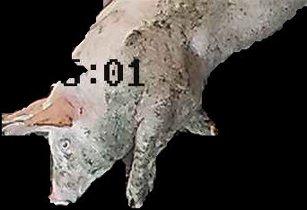 Crop