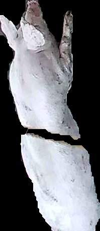 Crop
