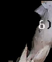 Crop