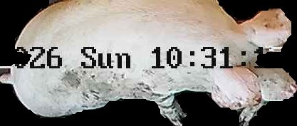 Crop