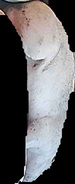 Crop