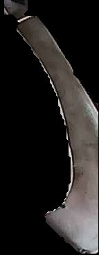 Crop