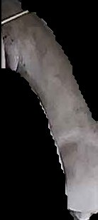 Crop