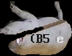 Crop