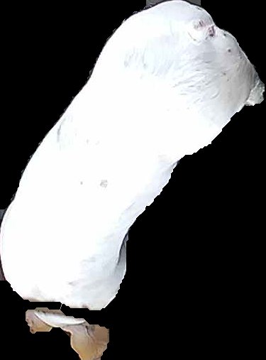Crop