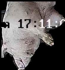 Crop