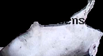 Crop
