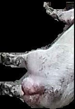 Crop