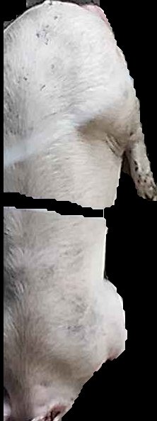 Crop