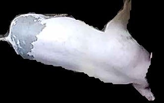 Crop