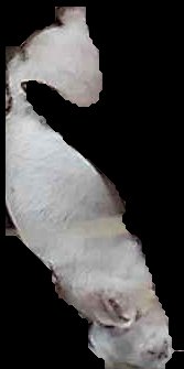 Crop
