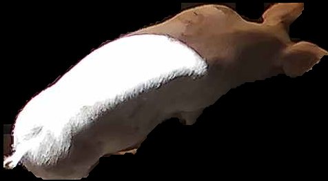Crop