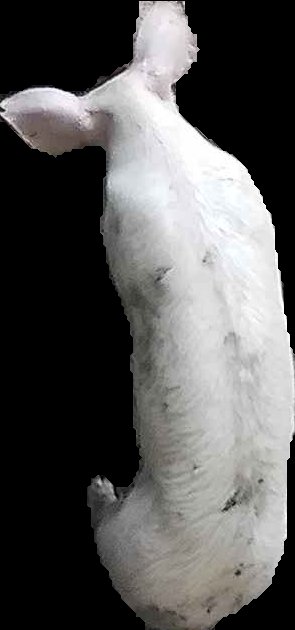 Crop