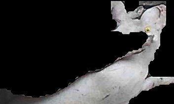 Crop