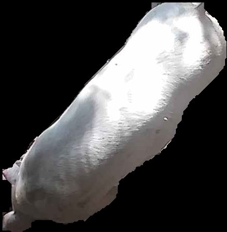 Crop