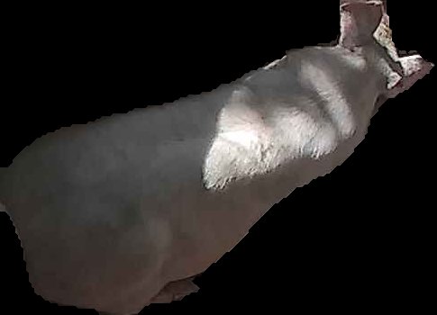 Crop