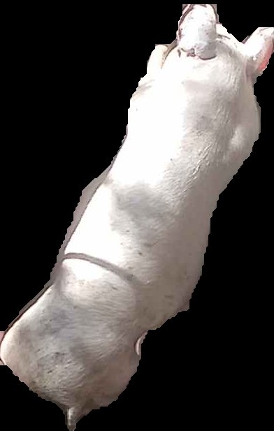 Crop