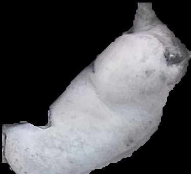 Crop