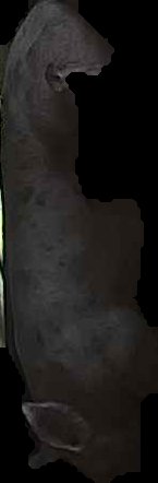 Crop