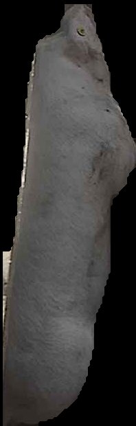Crop