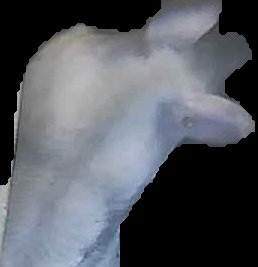 Crop