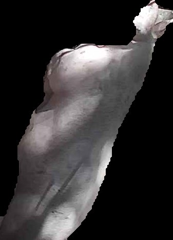 Crop
