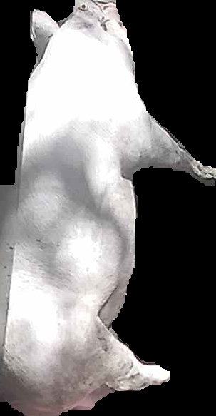 Crop