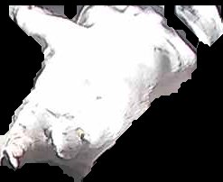 Crop