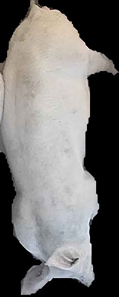 Crop