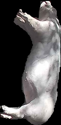Crop