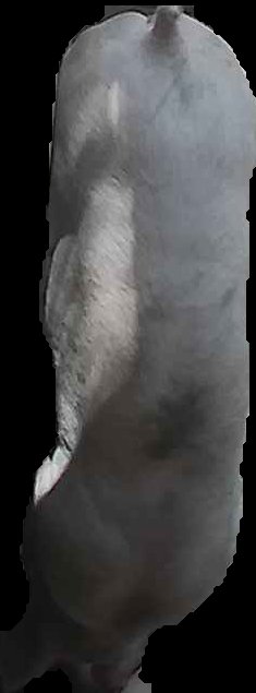 Crop