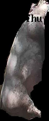 Crop