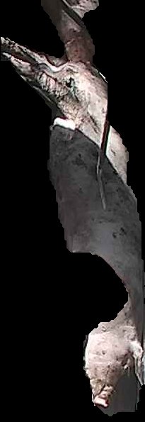 Crop