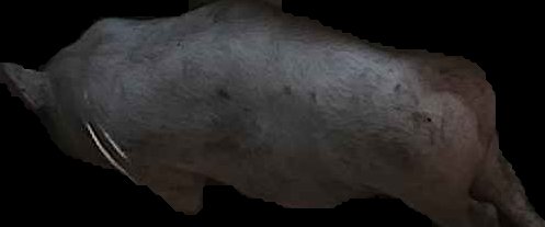 Crop