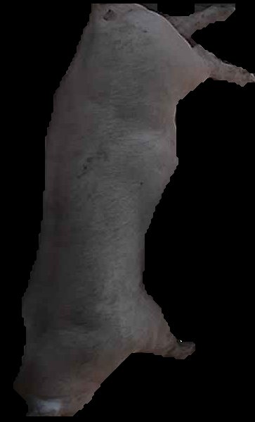 Crop
