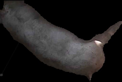 Crop