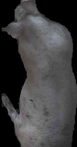Crop