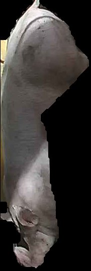 Crop