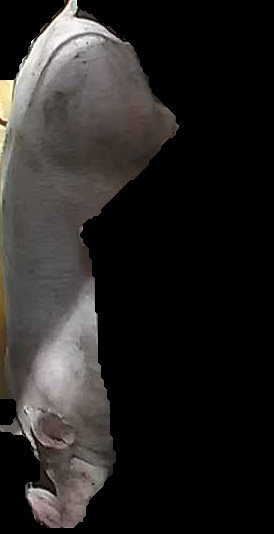 Crop