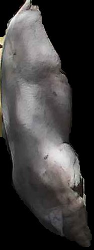 Crop