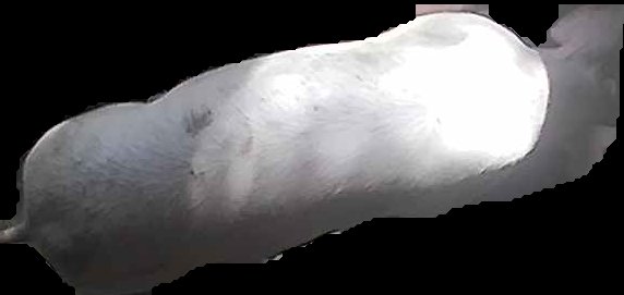 Crop