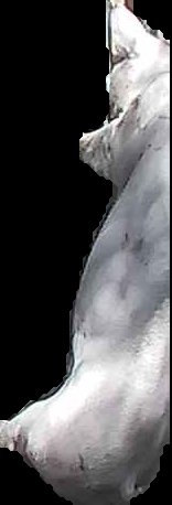 Crop