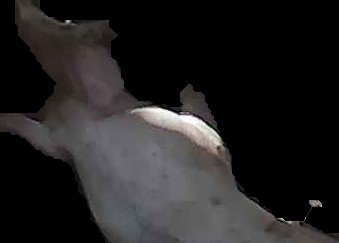 Crop