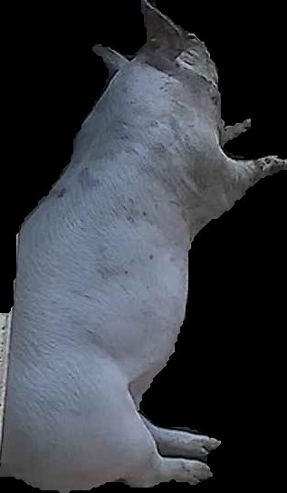 Crop