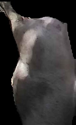 Crop